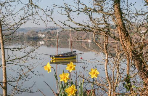 The Daffodil Shed - Foto 28