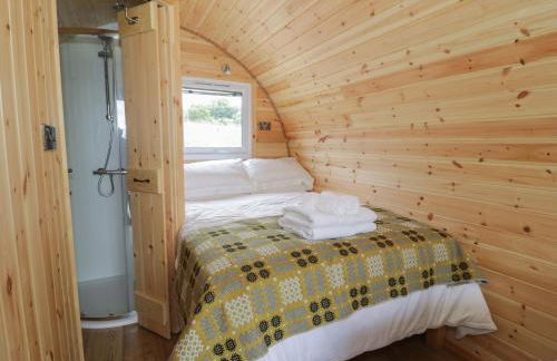 Dysynni Pod - Foto 8