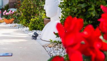 Casa Olina - Photo 4, Garden