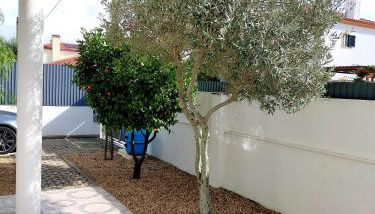 Casa Luz - Brejos de Azeitão - Foto 5