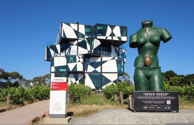 Mclaren Vale Vineyard Homestead - Foto 56