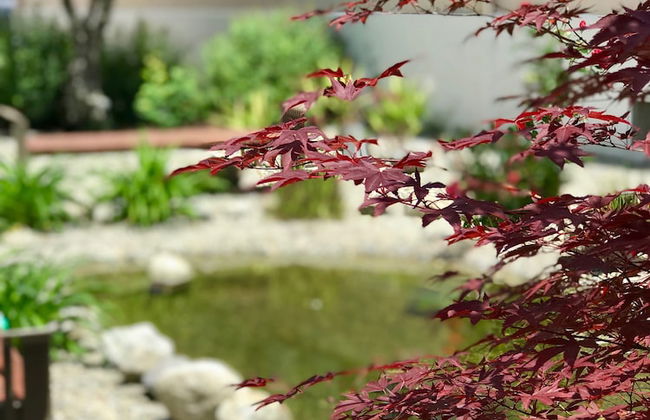 La Maison Vésubie - Foto 29