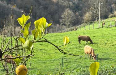 La Casina del Cabecin en Parque Natural de Redes - Foto 34