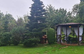 Sierra u Beaty - Foto 8