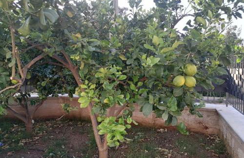 Residence Mare Azzurro - Foto 9