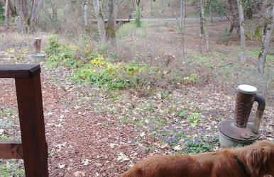 Creekside Cabin - Foto 11