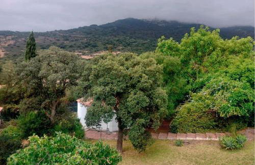 Finca El Campo - Foto 54