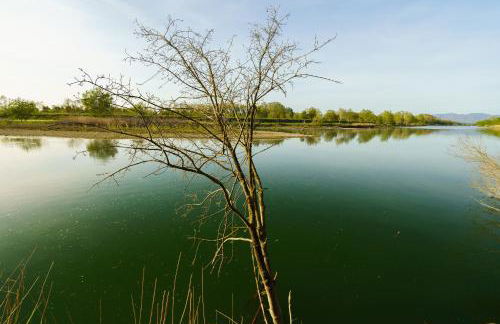 Apartament Rosa - Foto 50