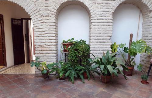 Entre patios y flores - Foto 29