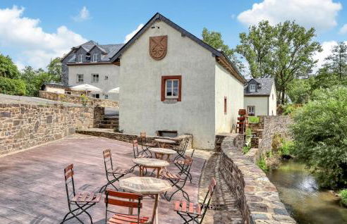 Admiral Vanessa - Foto 15