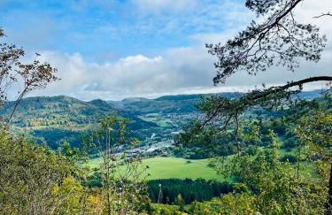 Panoramablick mit Premium-Wanderwegen vor der Haustür - Foto 48