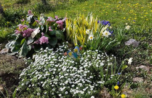 Holiday Home Kalnik - Foto 65