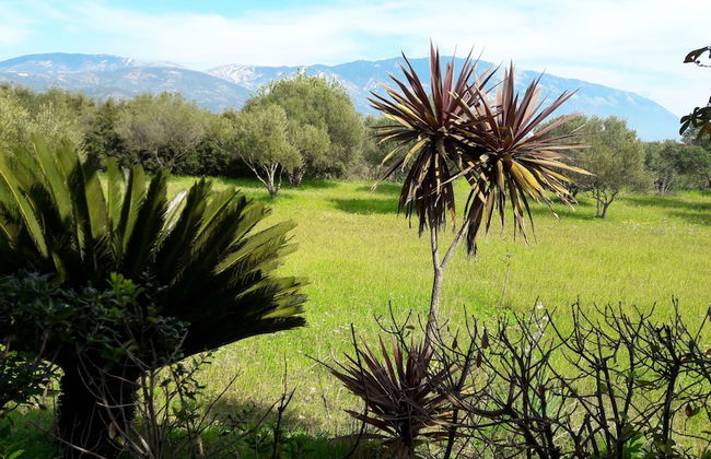 Villa Moschona - Photo 29