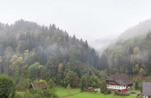 Hideaway Near Black Forest - Photo 35