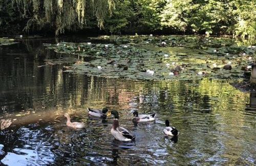 Gästehof Huber - Foto 19