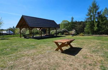 Leśna Przystań Bory Tucholskie - Foto 11