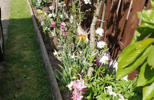 Gästehaus am Teich - Foto 31