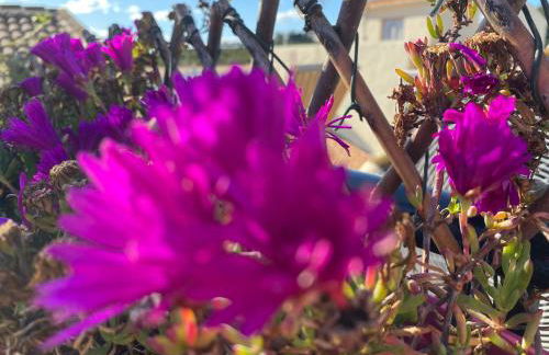 Sol mediterráneo - Foto 30