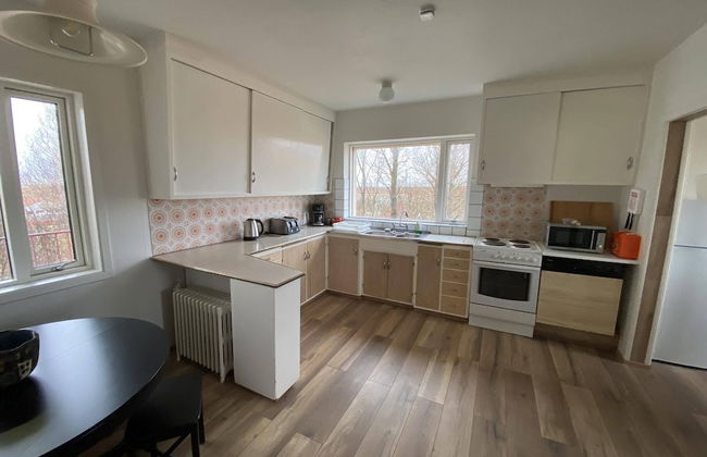 Álftártunga farm guesthouse - Foto 19