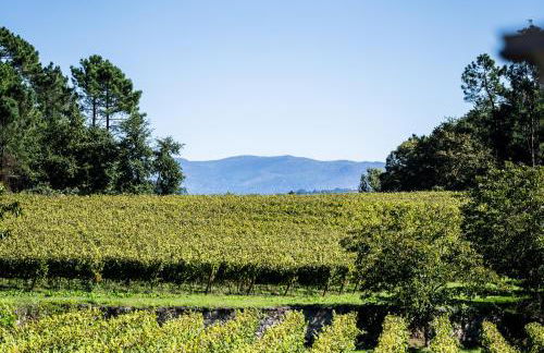 Wine Tourism - Quinta do Ameal - Foto 31