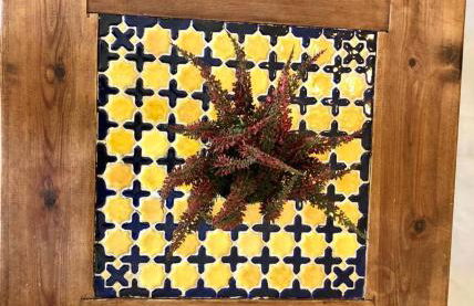 GATU PREMIUM Atico Sotavento playa, parking, terraza, piscinas, wifi y aire acc , " Preferente mayores de 21 años y familias " - Foto 25