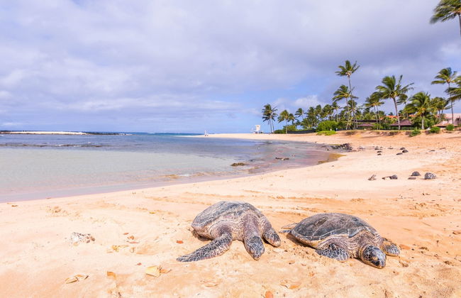 Kauai Kiahuna Plantation by Coldwell Banker Island Vacations - Foto 63