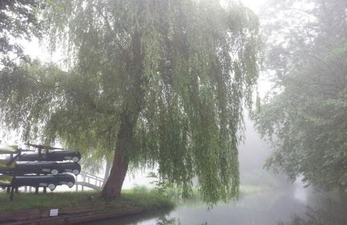 Doppelzimmer im Spreewald - Foto 21