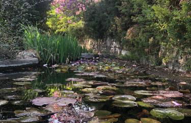 Il Pioppo Antico - Photo 36