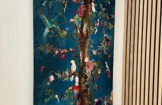 Plaza Tomás - Photo 3