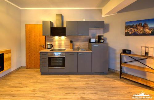 Auszeit-im-Harz Haus 5 Wohnung 32 - Foto 4