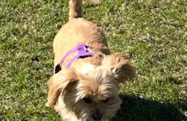 Hill View Studio - Foto 25