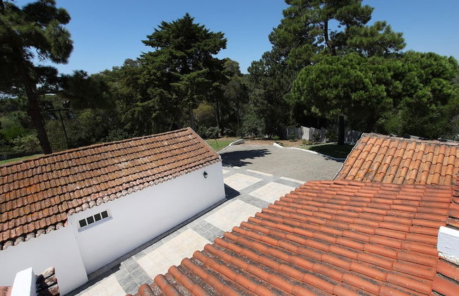 Farm on the Beach sea View 2 Steps From Lisbon - Foto 25