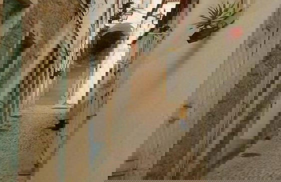 Casa do Quebra Costas - Photo 27