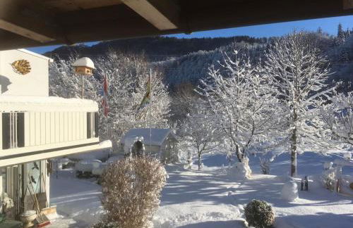 Holzer Feng Shui - Foto 12