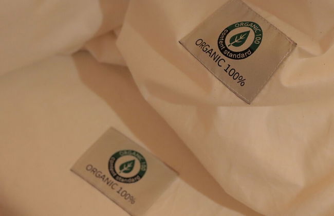 Morning Madrid - Foto 9