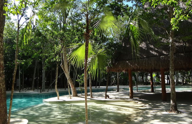 Tropical Paradise Apartment - Photo 20