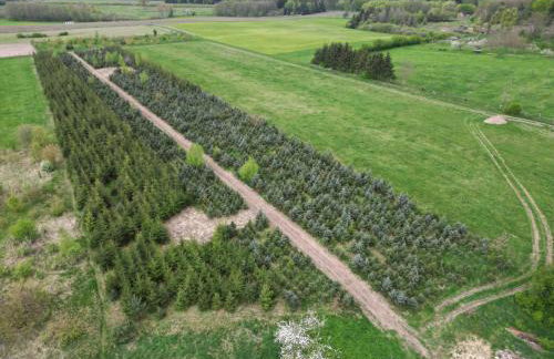 Apartament Blisko Lasu - Foto 4