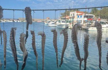 NEPTUNE OASIS Villa - Foto 13