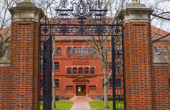 Visita guidata di Harvard - Foto 5