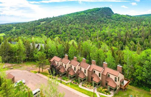 Lutsen Mountains Retreat with Resort Amenities! - Foto 31
