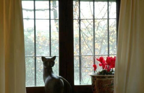 La Casa Rural Cortijo del Zoco Bajo - Foto 55