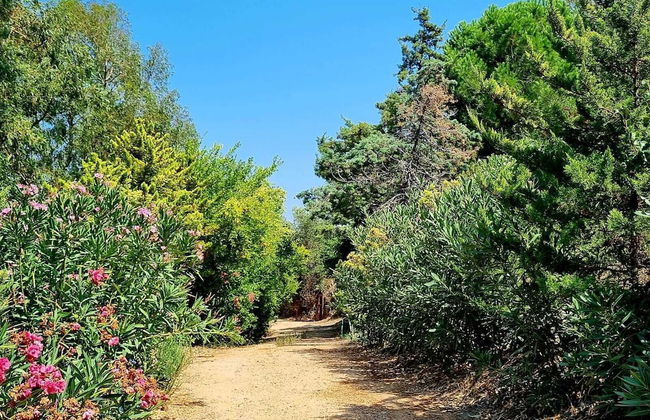 Sole Foca ( Ages 12+ ) - Foto 59