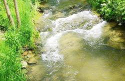 Osada Strusie Jajo w Bieszczadach - Foto 61