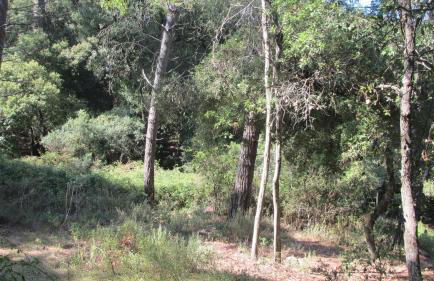 Turismo Rurale La Miniera Fiorita - Foto 55