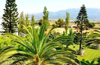 Akti Dimis Hotel - Foto 19