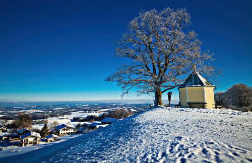 Alpenloft mit Garten & BBQ am Chiemsee by Dollop Living - Foto 15