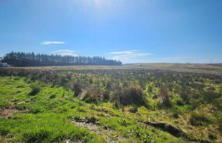 Belraugh Mountain View Hot Tub Lodges - Foto 59