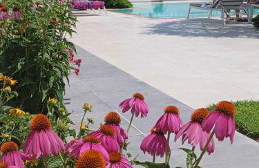 Thassos OLIVIA RESORT - Foto 60