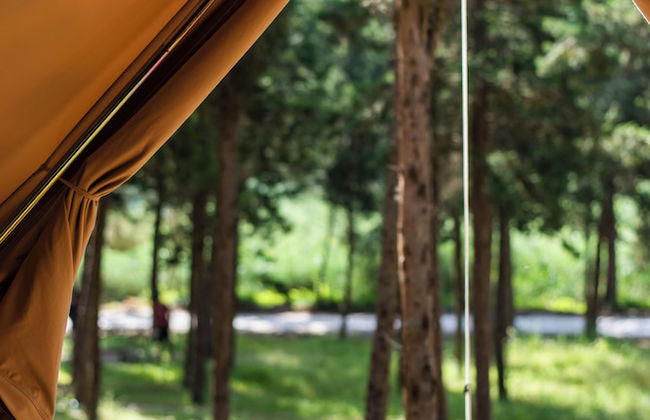 DOMA Portugal - Foto 13