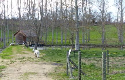 Cabane au bord d'un étang - Foto 4